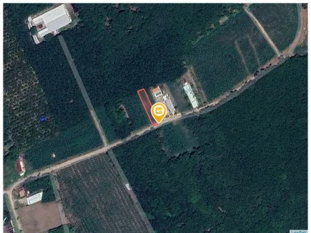 Bất động sản tại Bình Dương - ảnh 1