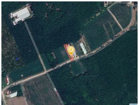 Bất động sản tại Bình Dương - ảnh 1