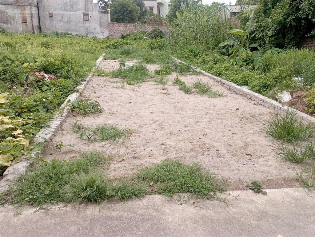 Bất động sản tại Bắc Ninh - ảnh 1