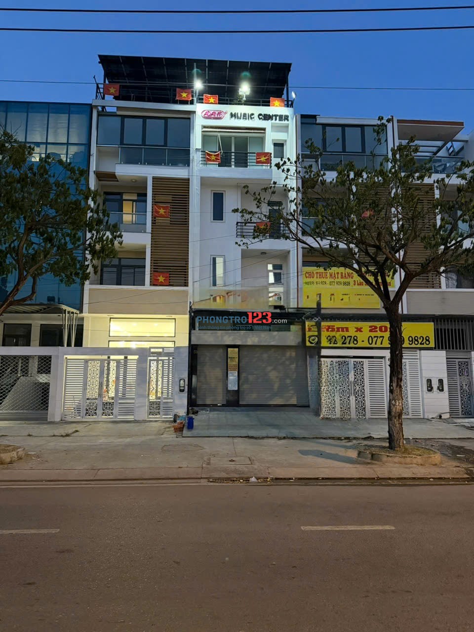 Bất động sản tại TP. Hồ Chí Minh - ảnh 1