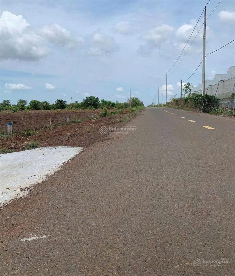 Bất động sản tại Bà Rịa - Vũng Tàu - ảnh 1