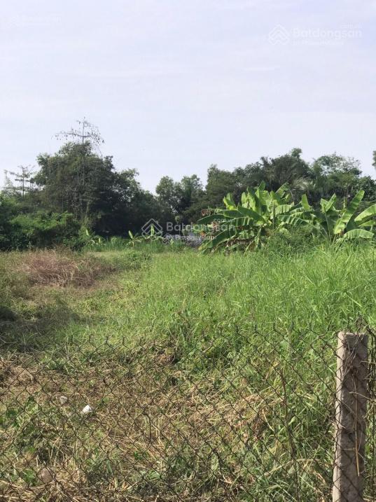 Bất động sản tại Long An - ảnh 1