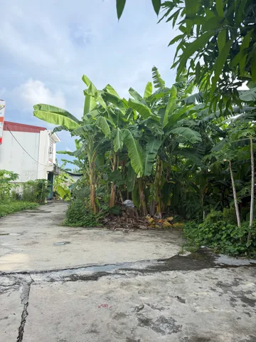 Bất động sản tại Hải Phòng - ảnh 1