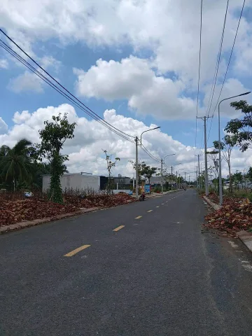 Bất động sản tại Bình Dương - ảnh 1