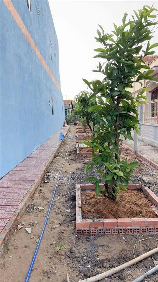 Bất động sản tại Long An - ảnh 1