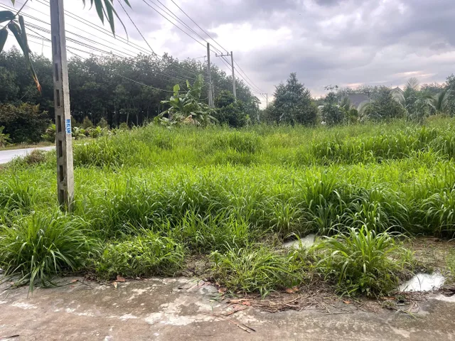 Bất động sản tại Bình Phước - ảnh 1