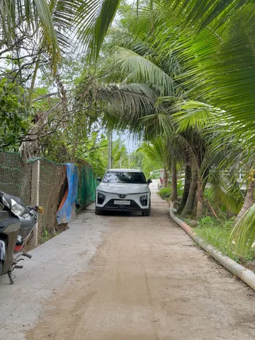 Bất động sản tại Đồng Tháp - ảnh 1
