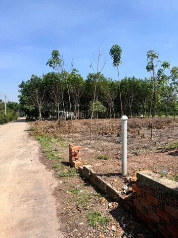 Bất động sản tại Bình Dương - ảnh 1