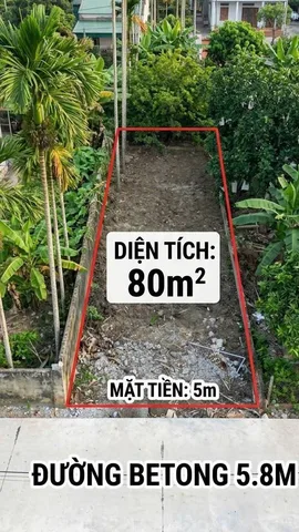 Bất động sản tại Hải Phòng - ảnh 1