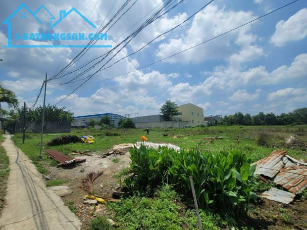 Bất động sản tại Long An - ảnh 1