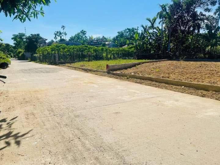 Bất động sản tại Quảng Nam - ảnh 1