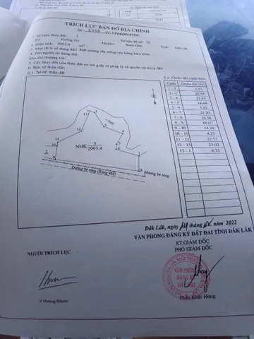 Bất động sản tại Đắk Lắk - ảnh 1