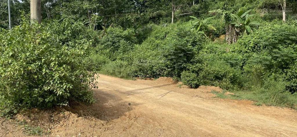 Bất động sản tại Khánh Hòa - ảnh 1