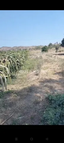 Bất động sản tại Lâm Đồng - ảnh 1