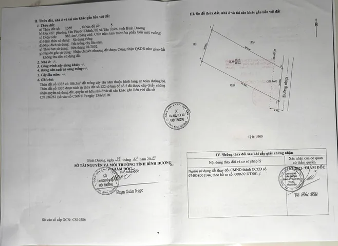 Bất động sản tại Bình Dương - ảnh 1