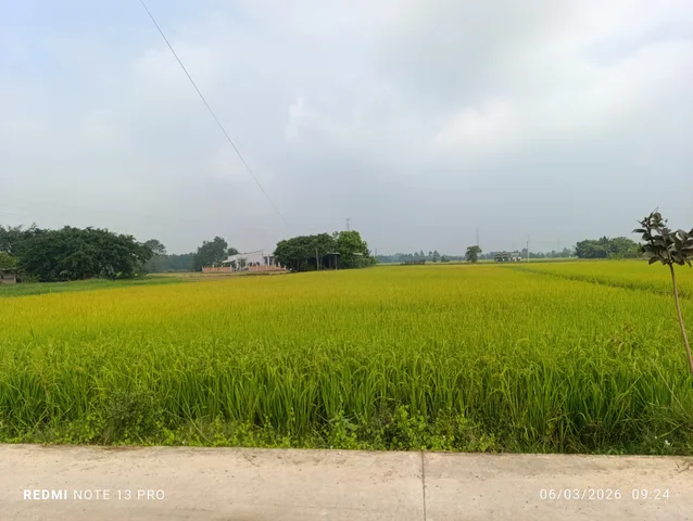 Bất động sản tại Tây Ninh - ảnh 1