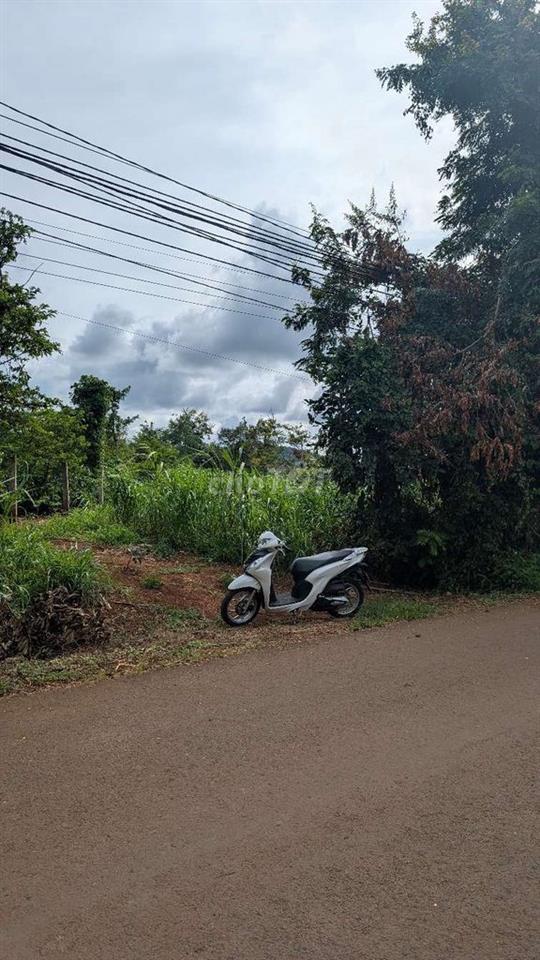 Bất động sản tại Đắk Lắk - ảnh 1