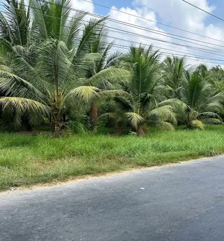Bất động sản tại Vĩnh Long - ảnh 1
