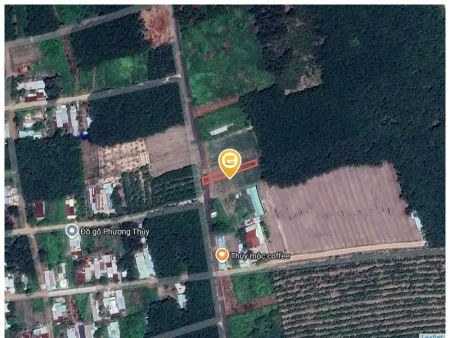 Bất động sản tại Bình Dương - ảnh 1