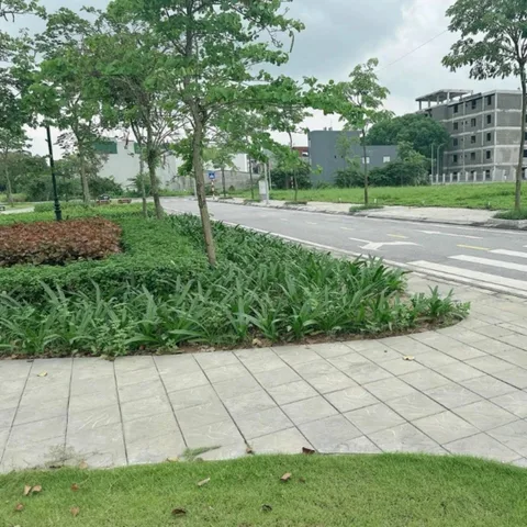 Bất động sản tại Hải Phòng - ảnh 1