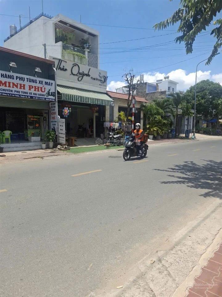 Bất động sản tại Bình Dương - ảnh 1