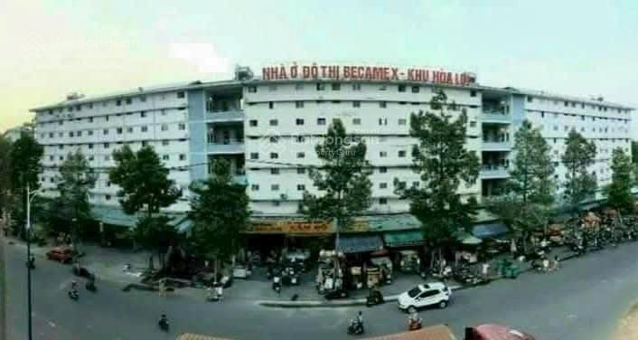 Bất động sản tại Bình Dương - ảnh 1