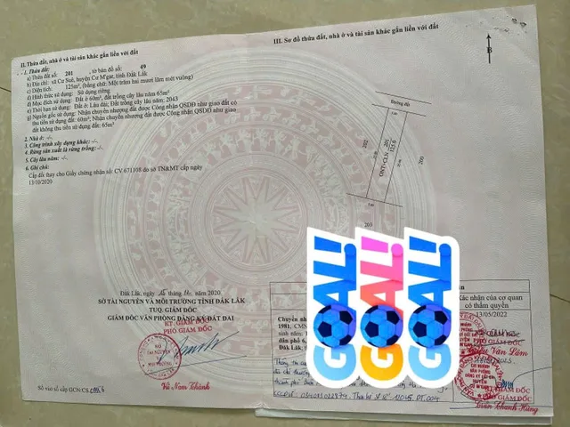 Bất động sản tại Đắk Lắk - ảnh 1