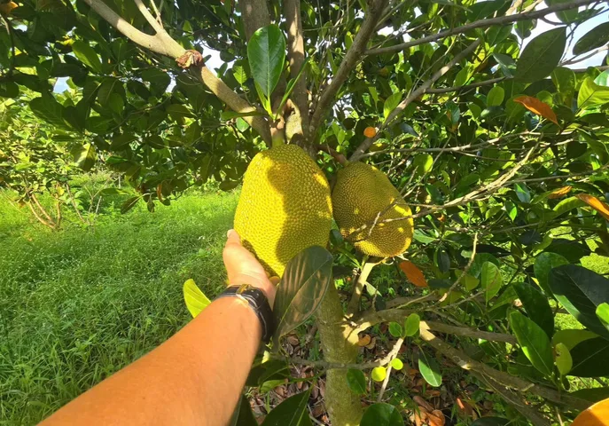 Bất động sản tại Bình Dương - ảnh 1