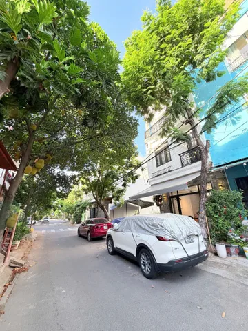 Bất động sản tại Đà Nẵng - ảnh 1