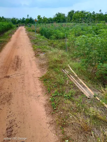 Bất động sản tại Tây Ninh - ảnh 1
