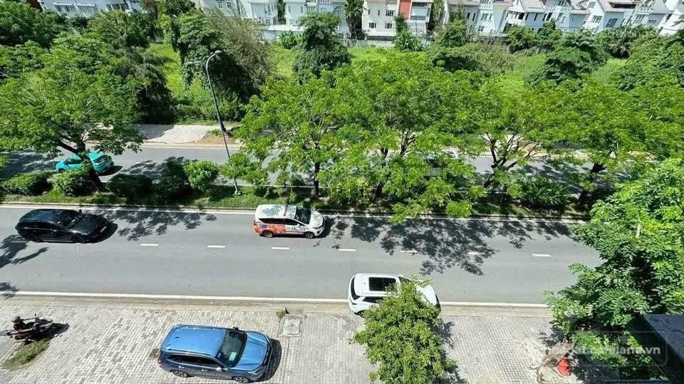 Bất động sản tại TP. Hồ Chí Minh - ảnh 1