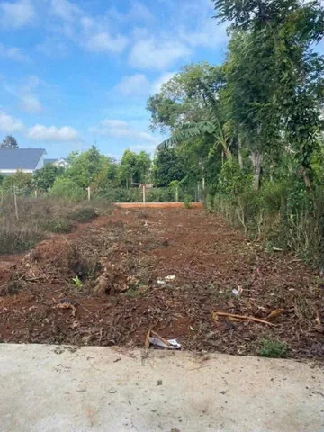 Bất động sản tại Đắk Lắk - ảnh 1