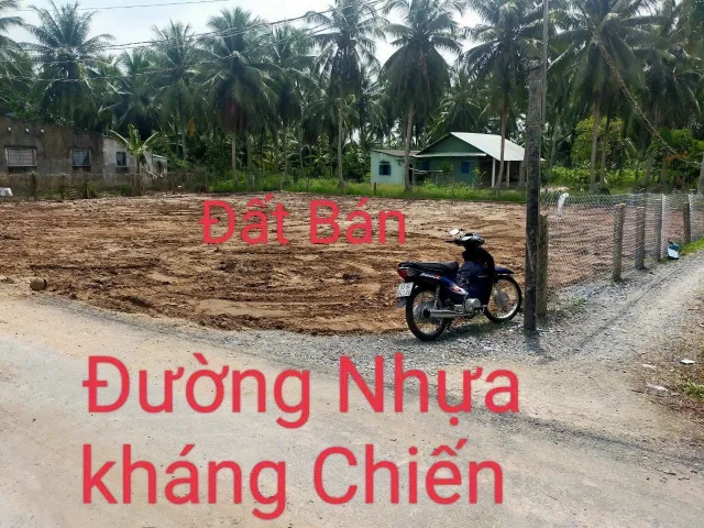 Bất động sản tại Tiền Giang - ảnh 1