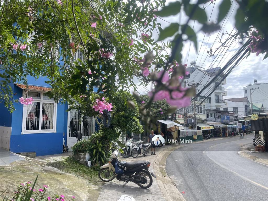 Bất động sản tại Lâm Đồng - ảnh 1
