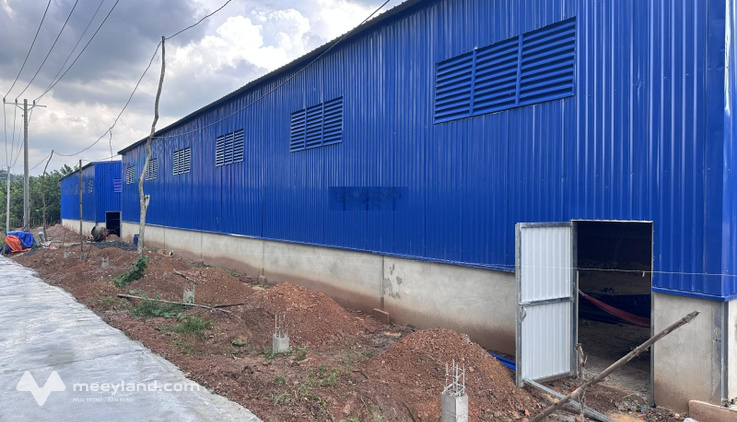 Bất động sản tại Bình Dương - ảnh 1