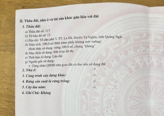 Bất động sản tại Quảng Ngãi - ảnh 1