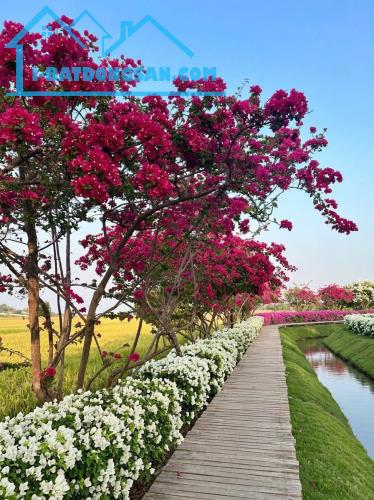 Bất động sản tại Bà Rịa - Vũng Tàu - ảnh 1
