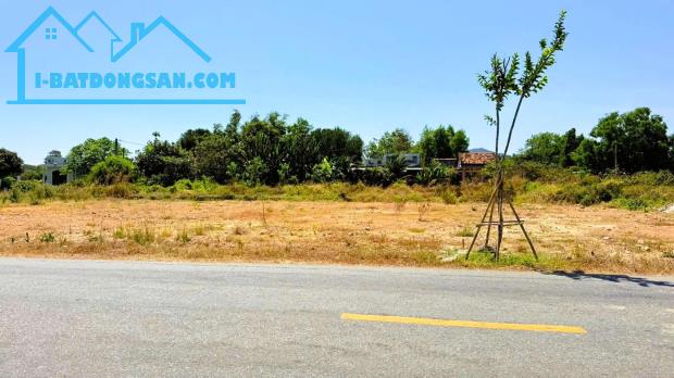 Bất động sản tại Bà Rịa - Vũng Tàu - ảnh 1
