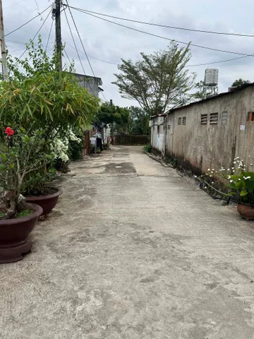 Bất động sản tại Đắk Lắk - ảnh 1