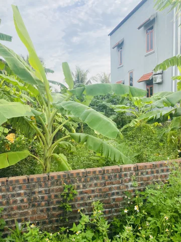 Bất động sản tại Hải Phòng - ảnh 1
