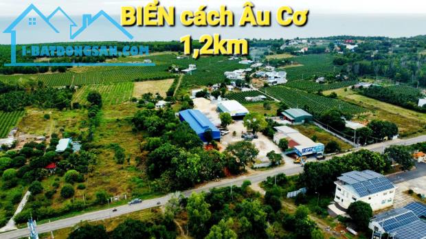 Bất động sản tại Bình Thuận - ảnh 1
