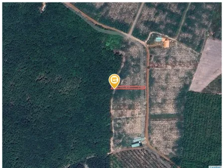 Bất động sản tại Bình Phước - ảnh 1