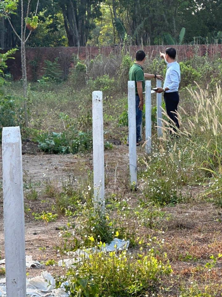 Bất động sản tại Bình Dương - ảnh 1