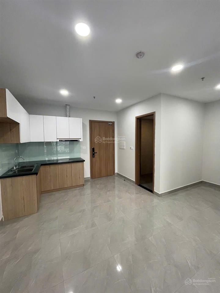 Bất động sản tại Bình Dương - ảnh 1
