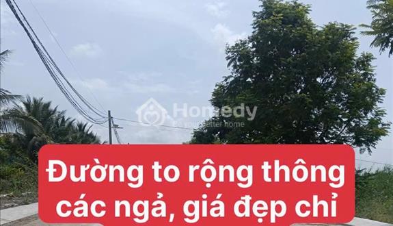 Bất động sản tại Long An - ảnh 1