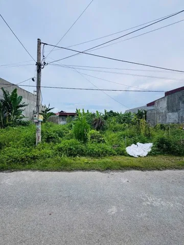 Bất động sản tại Hải Phòng - ảnh 1