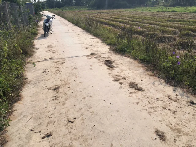 Bất động sản tại Khánh Hòa - ảnh 1