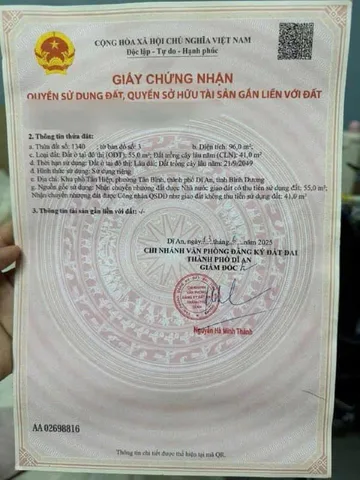 Bất động sản tại Bình Dương - ảnh 1