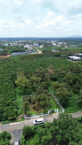Bất động sản tại Lâm Đồng - ảnh 1
