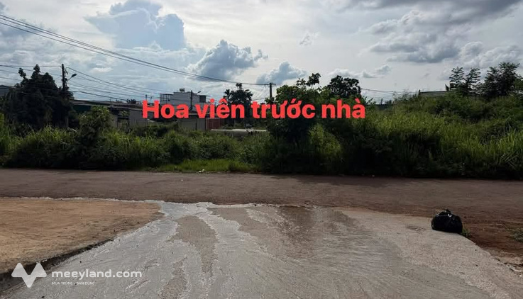 Bất động sản tại Đắk Lắk - ảnh 1